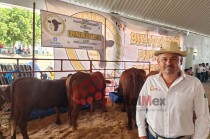 El líder ganadero señaló que, a pesar de acuerdos previos, las autoridades han optado por adquirir ganado de otras entidades, como Tamaulipas, en lugar de impulsar la producción local del sur mexiquense.