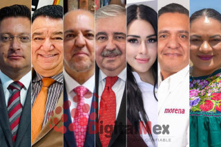 Raúl Domínguez, Cuauhtémoc Placencia, Germán Jalil, Ricardo Sodi, Leylany Arce Richard, Ricardo Moreno, Alhely Rubio