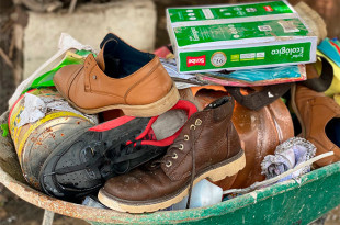 Colonias como Valle de los Pinos, Valle de Los Reyes y Oyamel sufrieron afectaciones.
