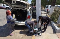 Los canes fueron llevados a las instalaciones municipales, donde les realizaron una evaluación médica; una perrita presentaba problemas articulares y otros presentaban cicatrices por peleas previas