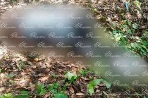 Dos hombres fueron asesinados a balazos sobre la carretera Villa del Carbón–Chapa de Mota; junto a los cuerpos fue localizada una cartulina con un mensaje de amenazas.