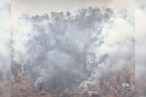 El motivo del incendio aún se desconoce, pero el Ayuntamiento de Toluca aseguró que se está manejando la emergencia adecuadamente.