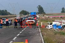 Uno de los vehículos estaba transportando una vaca, la cual quedó en medio de la carretera.