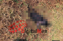 Al arribar al lugar, los servicios de emergencia confirmaron que los restos correspondían al cuerpo de un recién nacido.