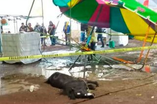 Gobierno de #Xonacatlán permite maltrato animal en ferias del municipio; aquí video de como murió este pony