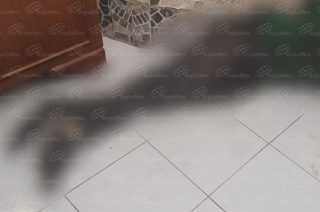 El cuerpo de Omar, de 44 años, quedó en las escaleras de su vivienda en Santiago Tlacotepec, Toluca, tras ser apuñalado durante una riña.