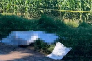 Presentaban impactos de arma de fuego, huellas de violencia, estaban parcialmente calcinadas y junto a ellas fue localizada una cartulina con un mensaje.