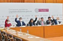 La regularzación fue propuesta de los diputados de Morena y el PAN.