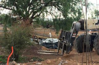 Debajo del árbol quedó el cuerpo del trabajador