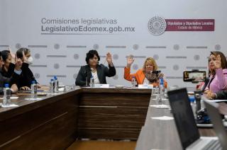 La consulta busca proteger y garantizar el ejercicio de los derechos y libertades de las personas en situación de discapacidad.