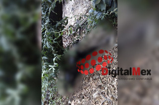 Restos calcinados en colonia El Calvario, Villa del Carbón