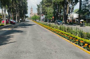 Calaveras, catrinas y arreglos florales transforman espacios públicos de la capital mexiquense durante las celebraciones del Alfeñique 2026.