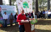 Plantan cerca de seis mil árboles en Villa Victoria