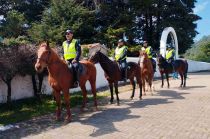 Se realizarán patrullajes motorizados y a pie, con el apoyo de 25 caninos y 25 equinos en la periferia de 531 panteones.