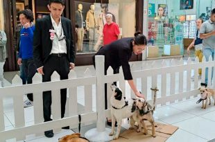 El centro impulsa jornadas de adopción, campañas de esterilización y pláticas de tenencia responsable en las comunidades de Huixquilucan.