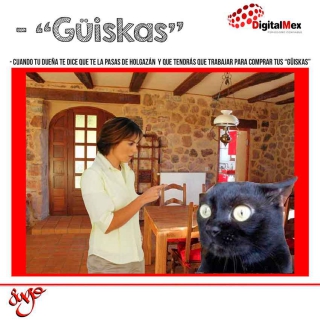 "Güiskas"...
