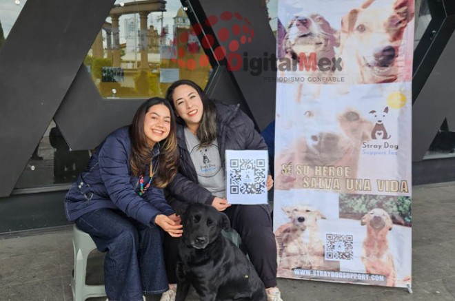 Stray Dog Support llega creando una nueva imagen de los perros callejeros