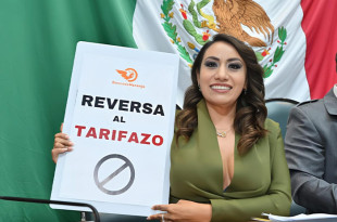 Diputada Ruth Salinas Reyes.