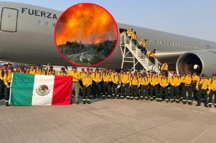 Los brigadistas mexicanos se integran a los equipos locales e internacionales para reforzar las labores de contención en las zonas más afectadas por la emergencia.