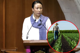 La diputada Leticia Mejía llamó a destinar mayores presupuestos y fortalecer políticas públicas en apoyo al campo mexiquense.