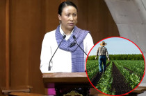 La diputada Leticia Mejía llamó a destinar mayores presupuestos y fortalecer políticas públicas en apoyo al campo mexiquense.