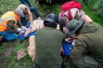 Video: Capturan al tigre “Kenzo” tras cinco días de búsqueda en Tepetlaoxtoc