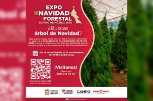 María Eugenia Rojano, secretaria del Campo, invitó a la ciudadanía a preferir adornos naturales durante la temporada