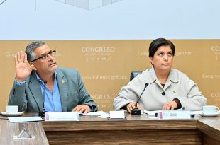 Diputados mexiquenses analizan una reforma para ampliar los programas de reforestación a zonas con riesgo de deslaves, inundaciones y erosión del suelo.
