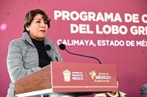 Colaboran autoridades mexicanas y estadounidenses en el Programa de Recuperación del Lobo Gris Mexicano.