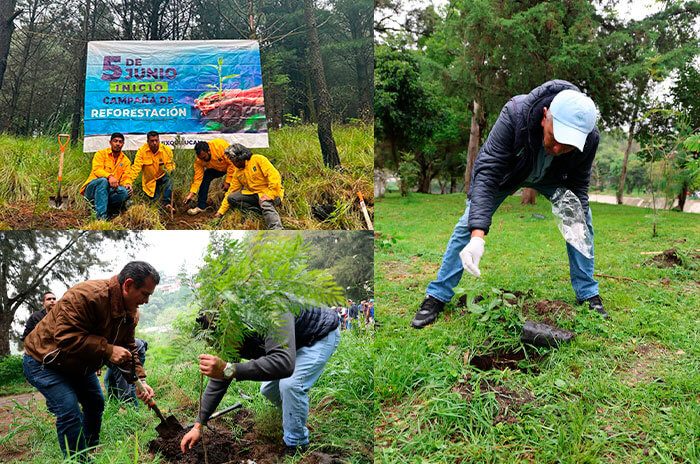 El gobierno municipal busca mantener el 65 por ciento del territorio de Huixquilucan como área verde mediante jornadas de reforestación durante la temporada de lluvias.