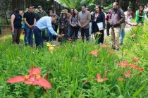 Hasta el próximo domingo 8 de septiembre, el Centro Universitario Tenancingo de la UAEMéx lleva a cabo el Segundo Festival de las Tigridias