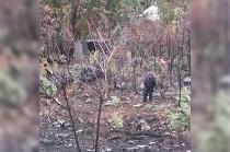 Cayeron a un barranco de más de 50 metros de profundidad.