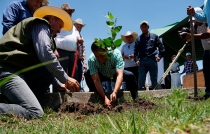 Revive Almoloya de Juárez vivero municipal abandonado en perjuicio del medio ambiente