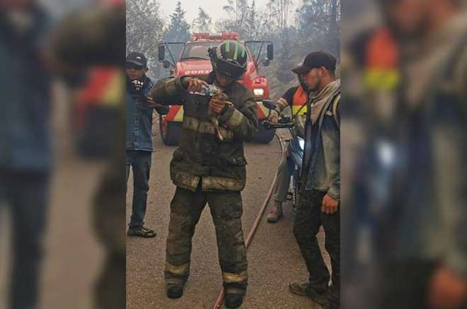 Rescatistas brindando primeros auxilios a fauna silvestre
