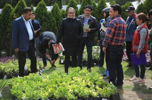 La materia que resulte de la trituración será empleada para el embellecimiento de camellones y espacios públicos 