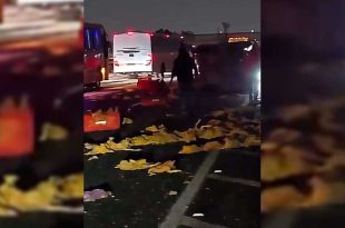 Video: Vuelcan dos camionetas con pollo y queso en la México-Pachuca