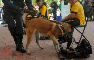 #Video: En 2019 realizaron 181 &quot;Operativos Mochila&quot; en 51 municipios del #Edomex