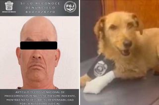 Vinculan a proceso a sujeto que lanzó explosivo a perrito en Edoméx