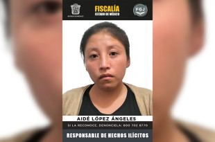 Además de la condena, deberá pagar más de 411 mil pesos por multa y reparación del daño moral.