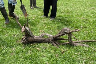 Los hechos tuvieron lugar este martes en las inmediaciones del jardín de niños “Juan Escutia”