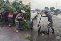 Brigadas de Protección Civil y Bomberos de Toluca atendieron encharcamientos, inundaciones y árboles caídos tras las lluvias registradas este viernes.