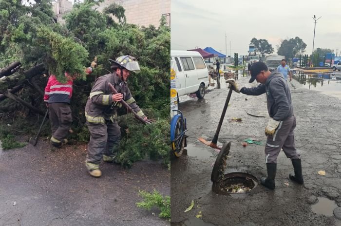 Brigadas de Protección Civil y Bomberos de Toluca atendieron encharcamientos, inundaciones y árboles caídos tras las lluvias registradas este viernes.