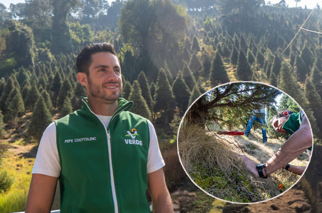 José Alberto Couttolenc Buentello y el PVEM destacan la producción legal y sustentable de árboles de Navidad en Xonacatlán, fortaleciendo la economía local.