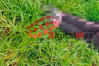 a víctima estaba maniatada y presentaba golpes visibles.