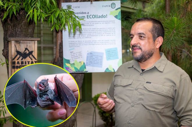 El experto señaló que solo tres de mil 500 especies se alimentan de sangre y pidió cambiar la percepción negativa.