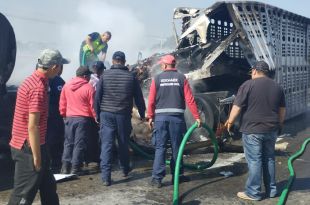 #Video: Muere ganado calcinado tras impactante choque en la México-Querétaro