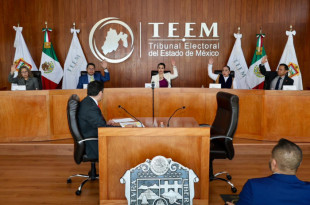 Por su parte, el Magistrado Héctor Romero Bolaños votó en contra considerando que el Tribunal Electoral no es competente para conocer este tipo de conflictos de competencia territorial.