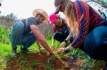 Megareforestación del PVEM en Edoméx