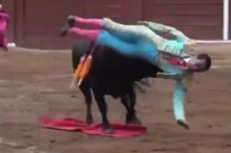 El toro intenta cornearlo, pero Macías se da la vuelta para correr, y el toro lo embiste por detrás, manteniéndolo suspendido en el aire durante varios segundos.