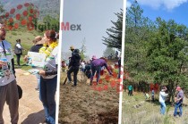 #Video: Exitosa primera jornada de reforestación de #APYCM